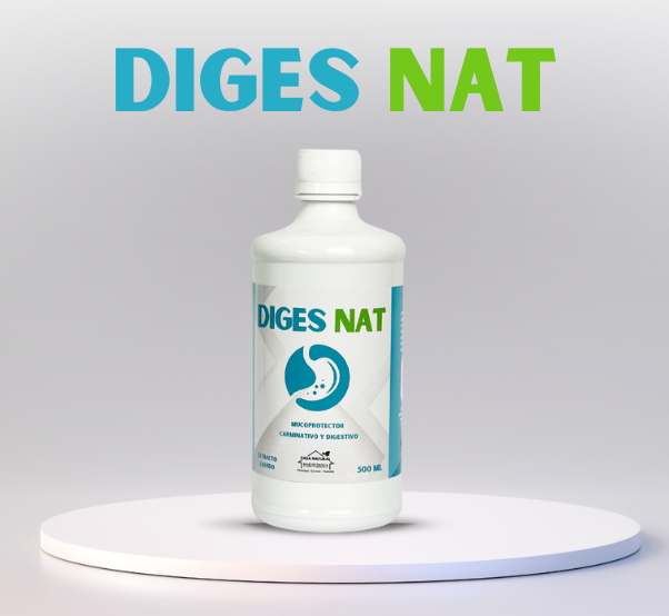 Diges Nat - CASA NATURAL JOSE QUIROGA
