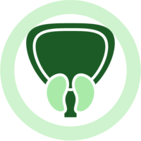 Untitled design (10)