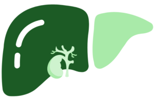 Untitled design (16)